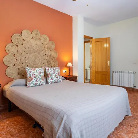 Pet Friendly In
