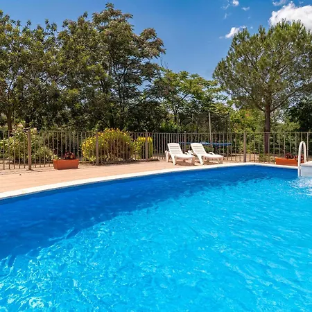 Holiday home Pet Friendly In