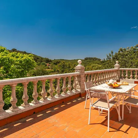 Holiday home Pet Friendly In