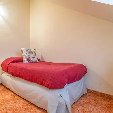 Pet Friendly In Cordoba